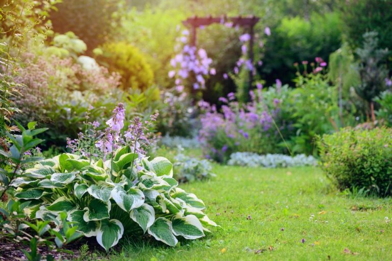 12 Low-Maintenance Plants Perfect for Urban Gardening