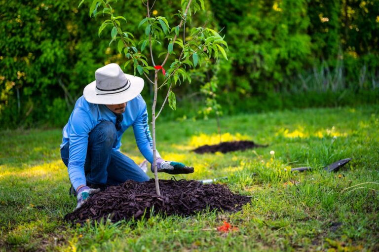 12 Best Late Winter Mulching Tips for Healthier Beds in Spring