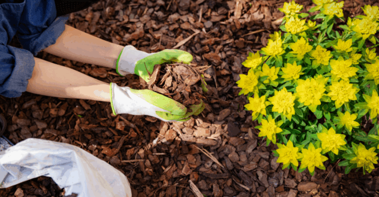 Top 18 Mulching Techniques for Hot Weather Gardens
