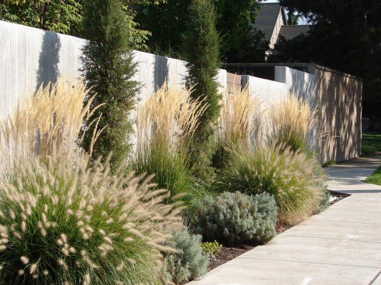 The Ultimate Guide to Creating a Water-Saving Xeriscape Garden
