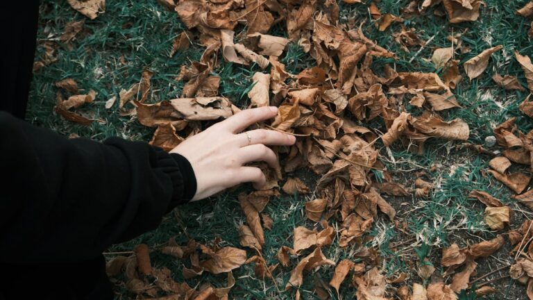 12 Common Grass Growth Issues and How to Fix Them Fast