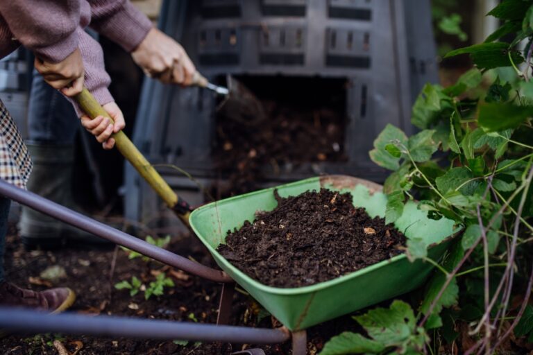 How to Start a Composting System to Enrich Your Garden Soil