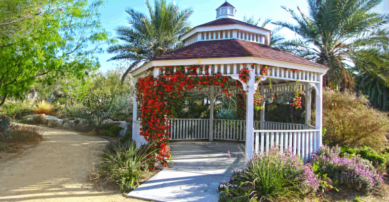 15 Creative Ways to Create Shade in Your Garden