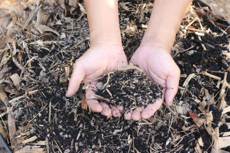 12 Things You Didn’t Know You Can Compost