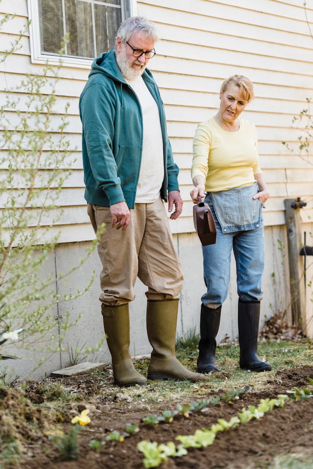 12 Tips for Creating a Beautiful Garden on a Budget