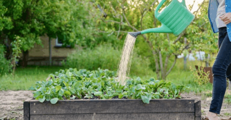 15 Smart Gardening Tips for Hot and Sunny Days