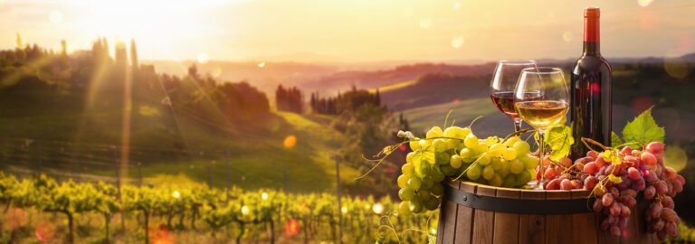Top 14 Wine Regions Every Collector Should Know About