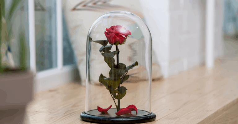 13 Ways to Preserve Roses You’ll Keep Forever