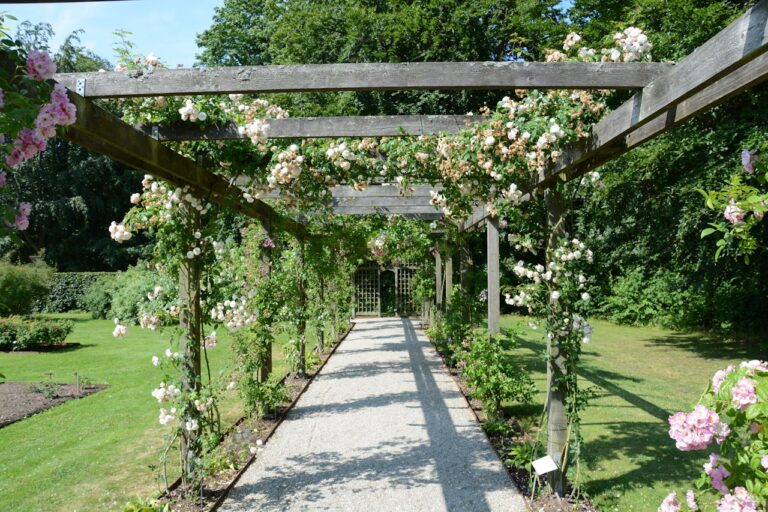 13 Low-Maintenance Vines That Thrive on Arbors and Trellises