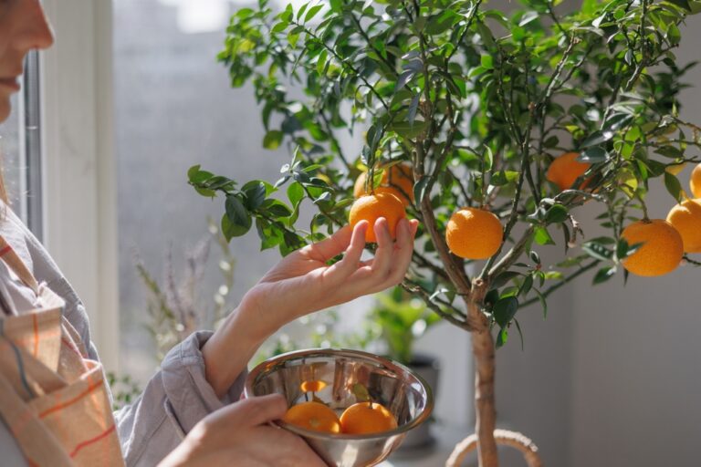 How to Successfully Grow Fruit Trees in Small Backyard Spaces