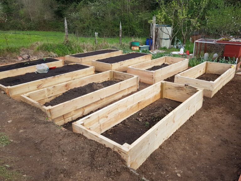 13 Raised Bed Refresh Ideas That Take One Afternoon