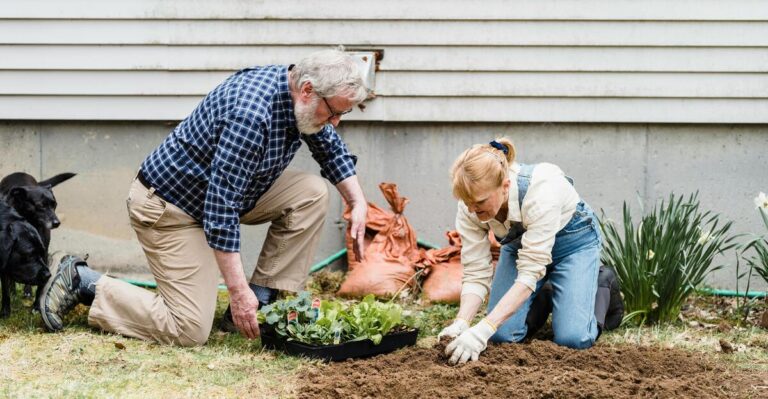 12 Easy Fixes for Common Vegetable Gardening Problems