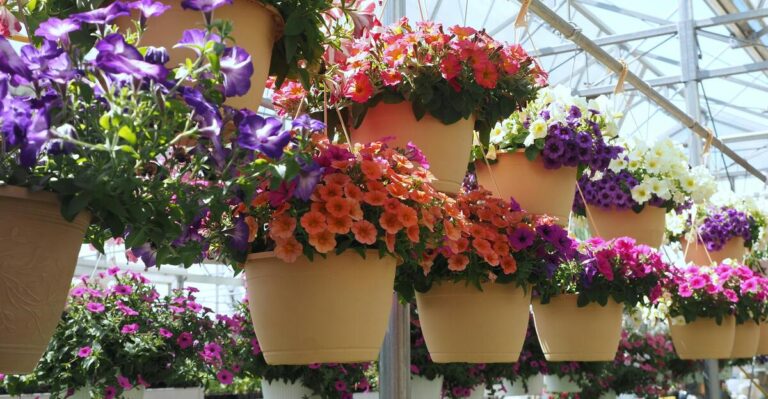 14 Best Plants For Hanging Baskets