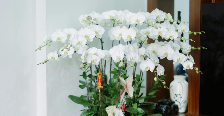 15 Best-Smelling Houseplants for a Fresh, Inviting Home