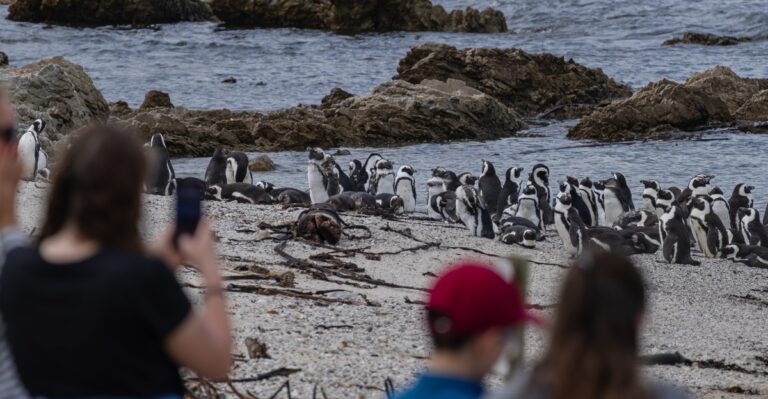 14 Unforgettable Wildlife Experiences You Can Have in South America