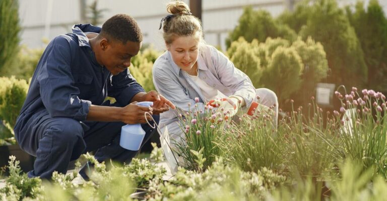 11 Common Plant Myths Debunked