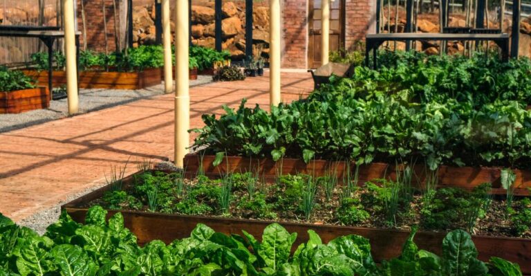 15 Garden Designs to Keep Your Plants Cool and Comfortable