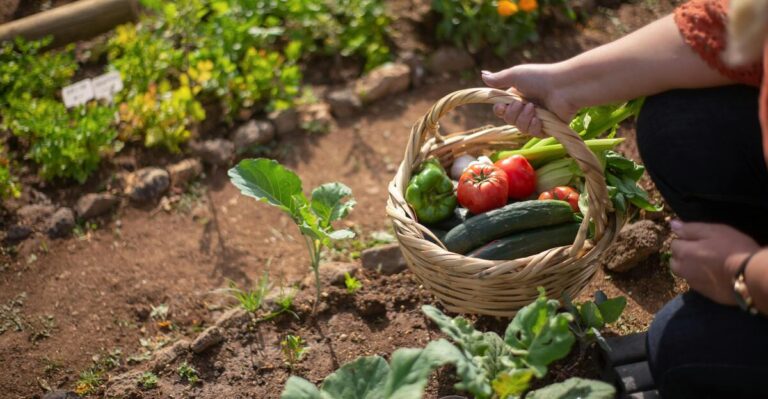 13 Low-Maintenance Vegetables That Will Thrive in Your Garden