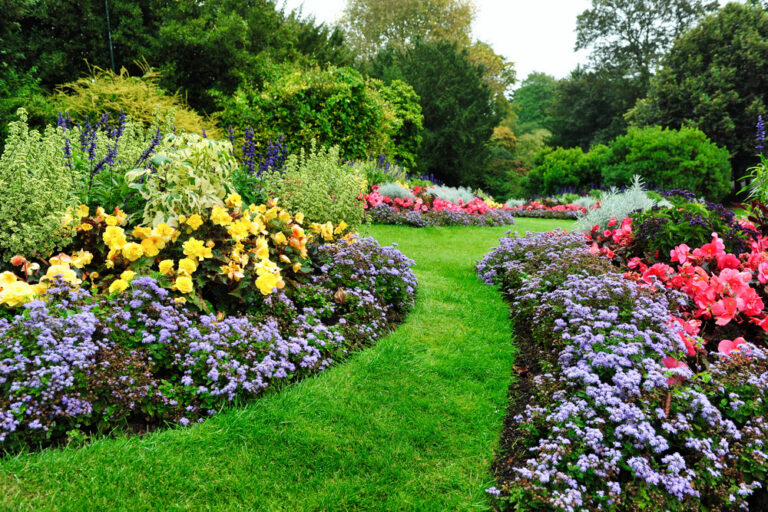 12 Top Border Plants That Help Stop Weeds in Their Tracks