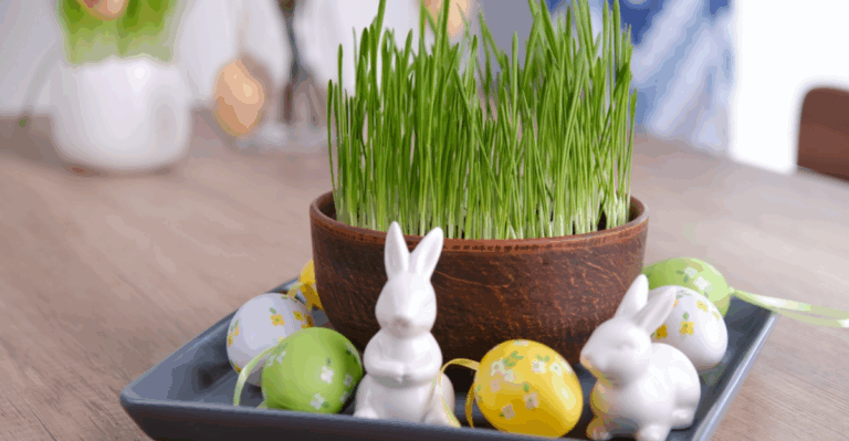 16 Grass Plants That Make Great Houseplants
