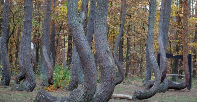18 Mysterious Places on Earth That Defy Explanation