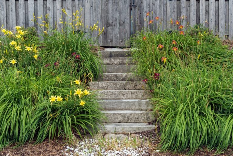 12 Ways To Wake Up Dormant Perennials Without Damaging New Growth