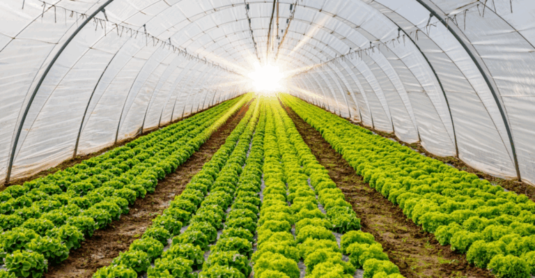 19 Simple Greenhouse Plants Anyone Can Grow