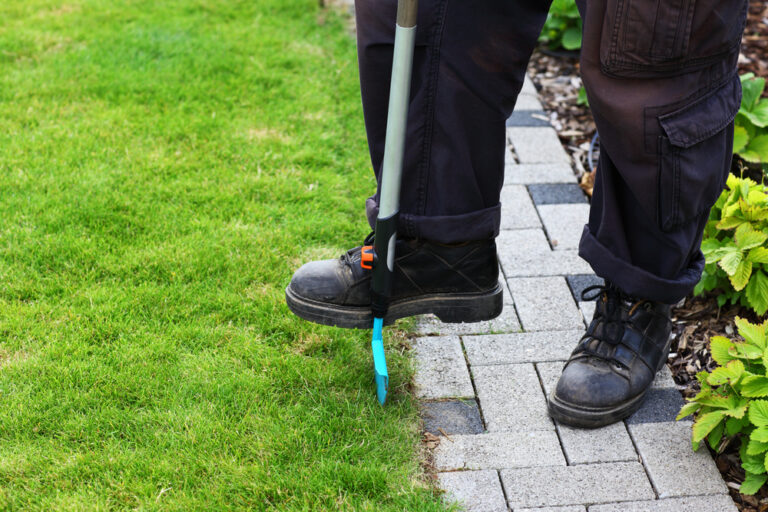 13 Late Winter Lawn Care Steps That Help Without Wasting Money
