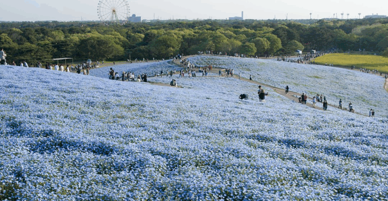 18 Strange and Beautiful Destinations You Won’t Find in Travel Guides