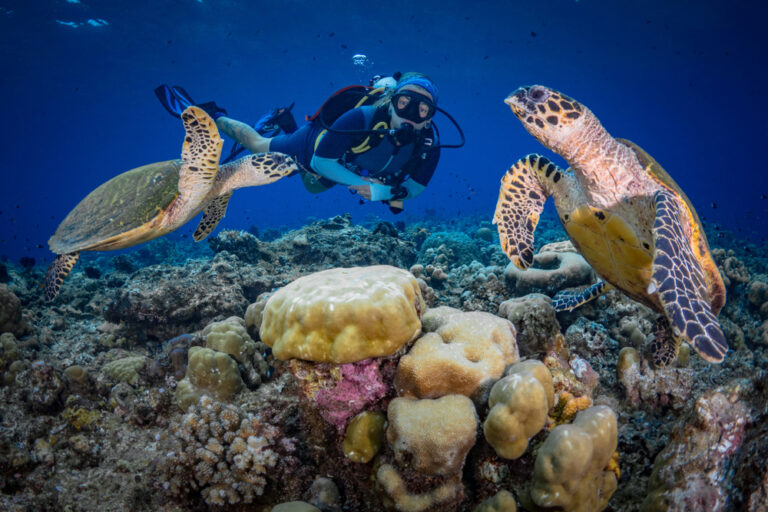 15 Natural Wonders Everyone Should Experience in Their Lifetime