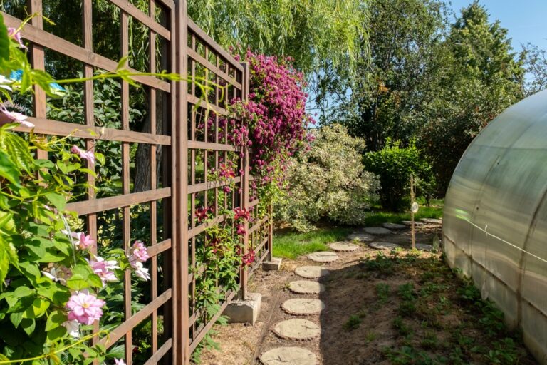 14 Beautiful Vines to Train and Plant in the Fall
