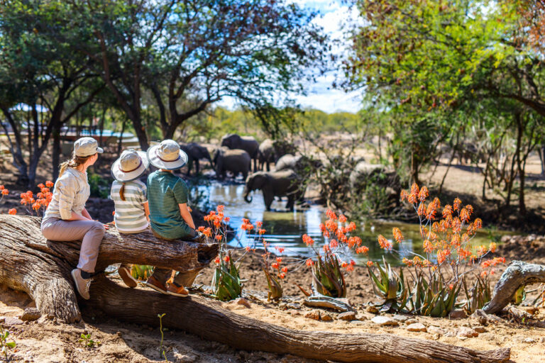 13 Unique Wildlife Encounters Worth Traveling For