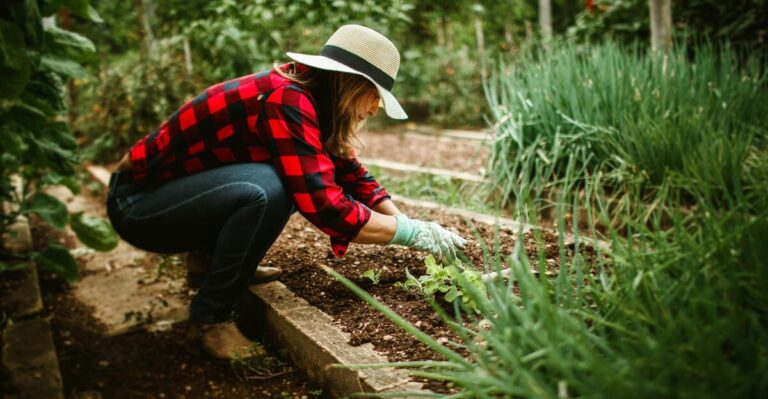16 Vegetable Pairings That Can Ruin Your Garden