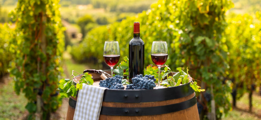 Wine Tasting in Bordeaux, France