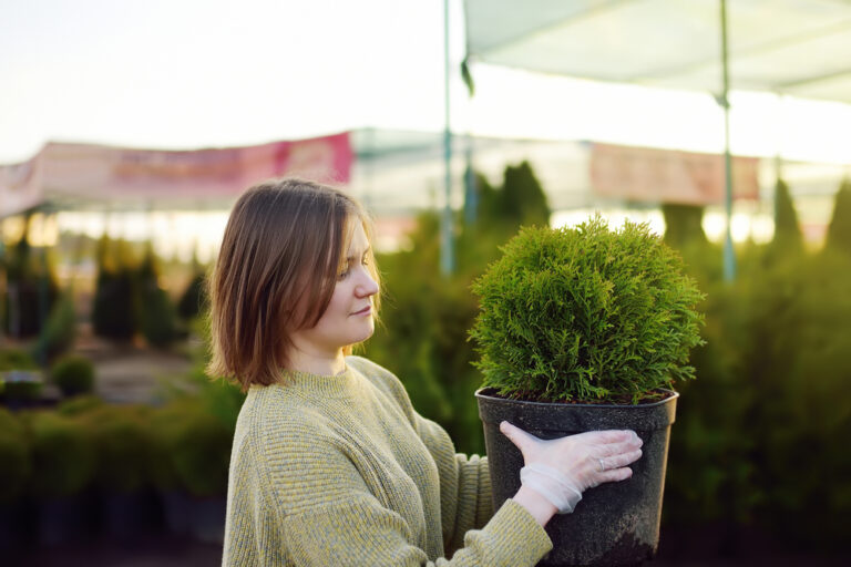 12 Must-Know Tips for Buying a Strong, Healthy Tree