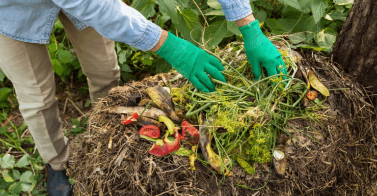 20 No-Cost Gardening Tricks That Really Work