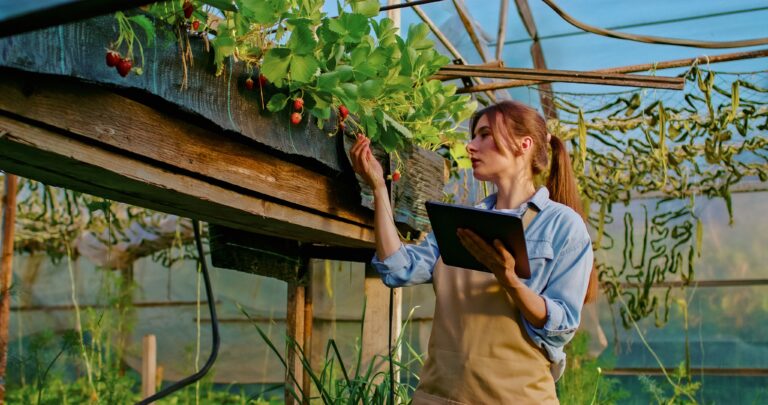 15 Things to Do So Your Plants Don’t Wither in the Heat