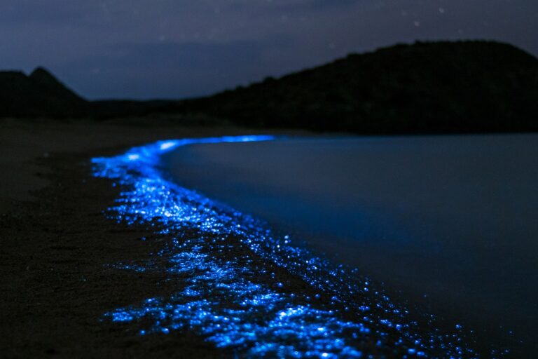11 Places Where Nature Creates Its Own Light Show