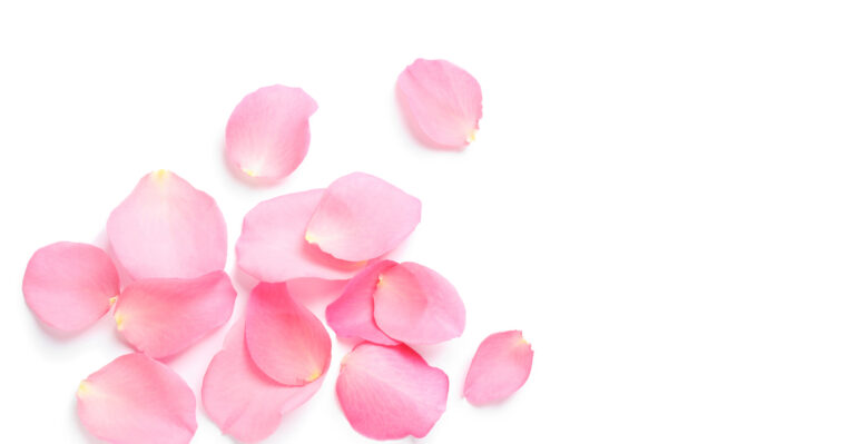 14 Creative Uses for Rose Petals You’ll Love