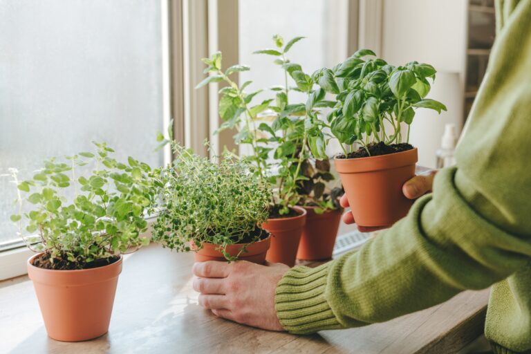 rotating pots of herbs