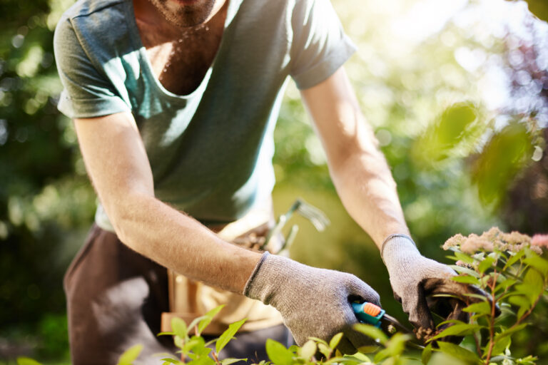 15 Things to Do in Your Garden Before Fall Arrives