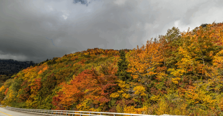 16 Best Places to Experience Fall Foliage in the US