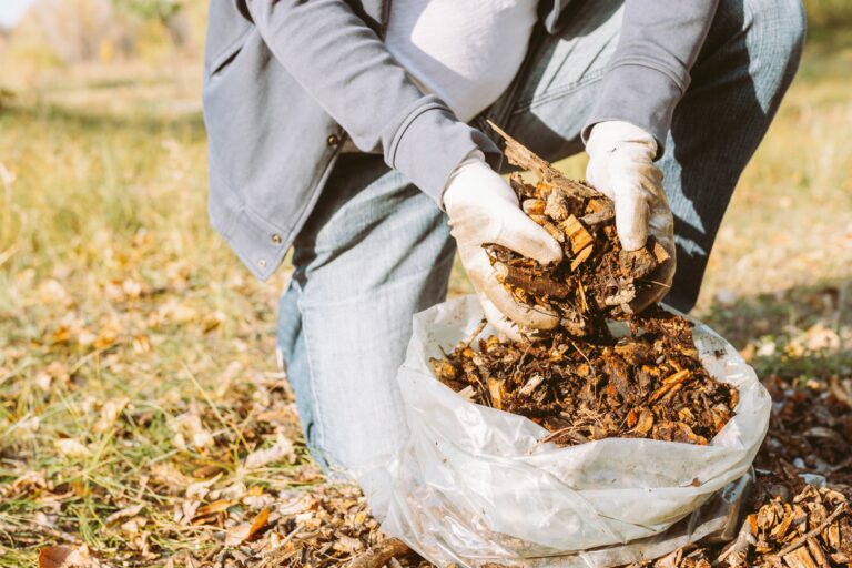 15 Best Compost Materials to Add in Autumn for Rich Spring Soil