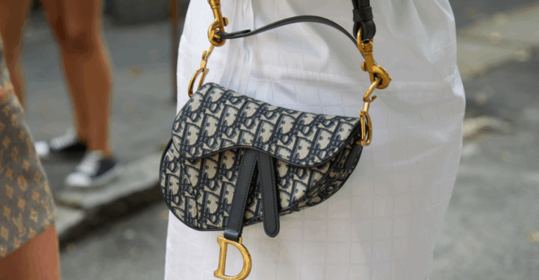 12 Dior Saddle Bags That Changed the Game