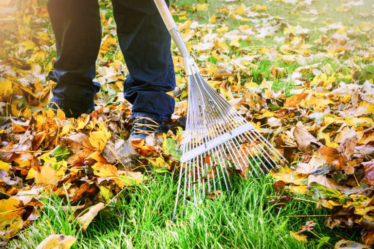 15 Fall Gardening Myths People Still Believe (and What to Do Instead)