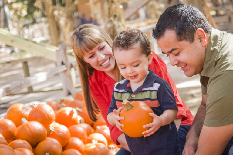 14 Fall Traditions to Start With Your Family This Year