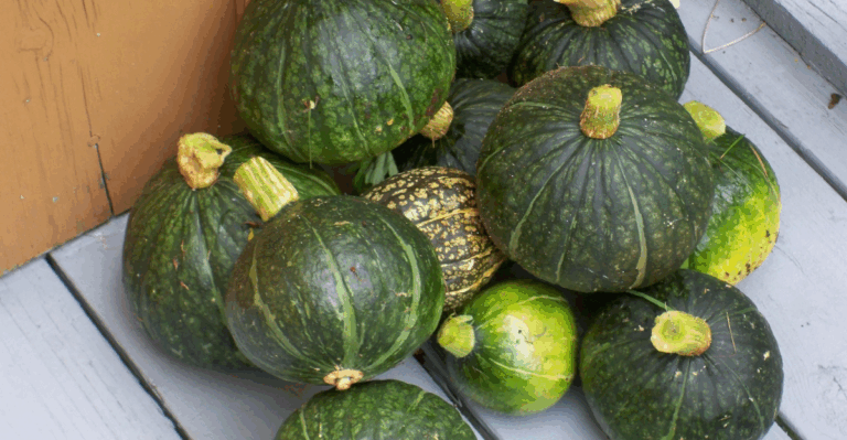 16 Fruits and Vegetables That Store Well from a Fall Harvest