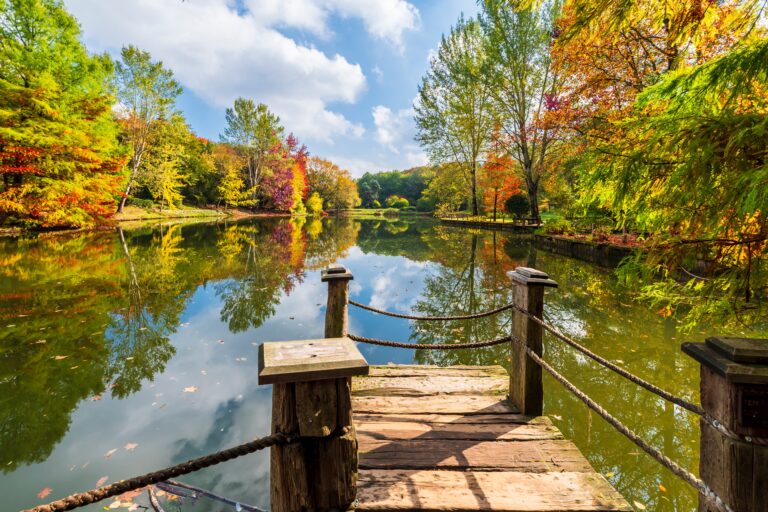 15 International Gardens and Arboretums That Peak in Autumn