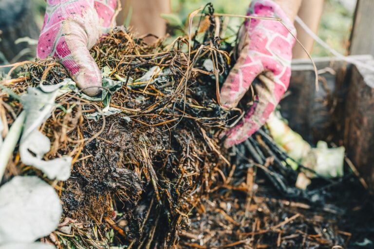12 Early March Compost Fixes That Stop Spring Smells