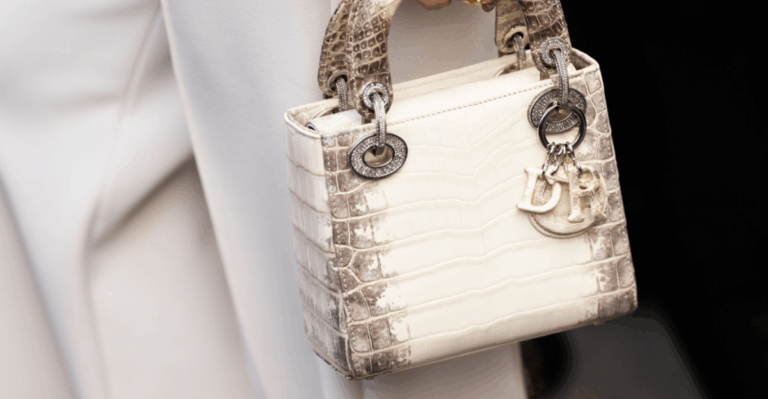 12 Lady Dior Bags That Became Collector Favorites